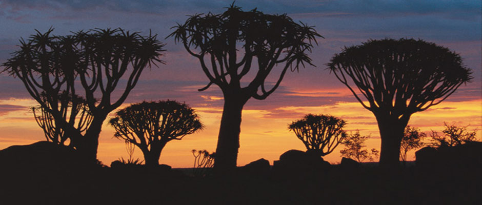 oorspronkelijk-afrika-in-de-kalahari2