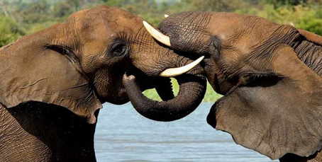 Southern Africa